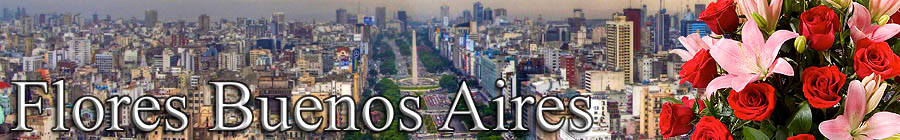 flores buenos aires
