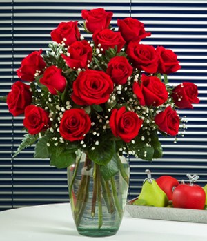 rosas rojas buenos aires
