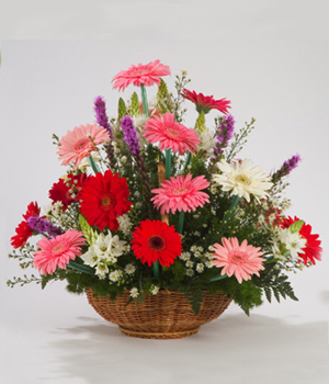 arreglo floral de gerberas en canasta buenos aires