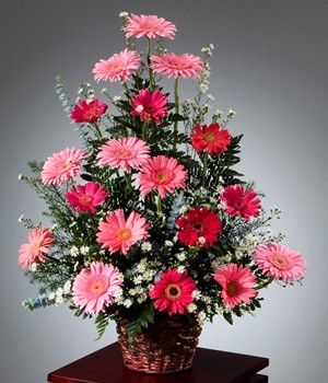 arreglo de gerberas rosadas en canasta buenos aires